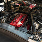 Corsa 2020+ Chevrolet Corvette C8 Stingray Coupe Catch Can
